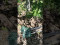 Austin Park Rangers warn against break-ins around trail parking spots