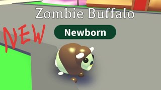 zombie buffalo adopt me neon｜TikTok Search