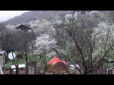 ქვევრის გახსნა წყლულეთში 2017 04 18