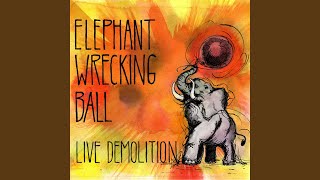 Video thumbnail of "Elephant Wrecking Ball - She's Not Bringing Me My Sandwich Tonight (Live)"