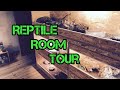 Reptile room tour  reptile yew 