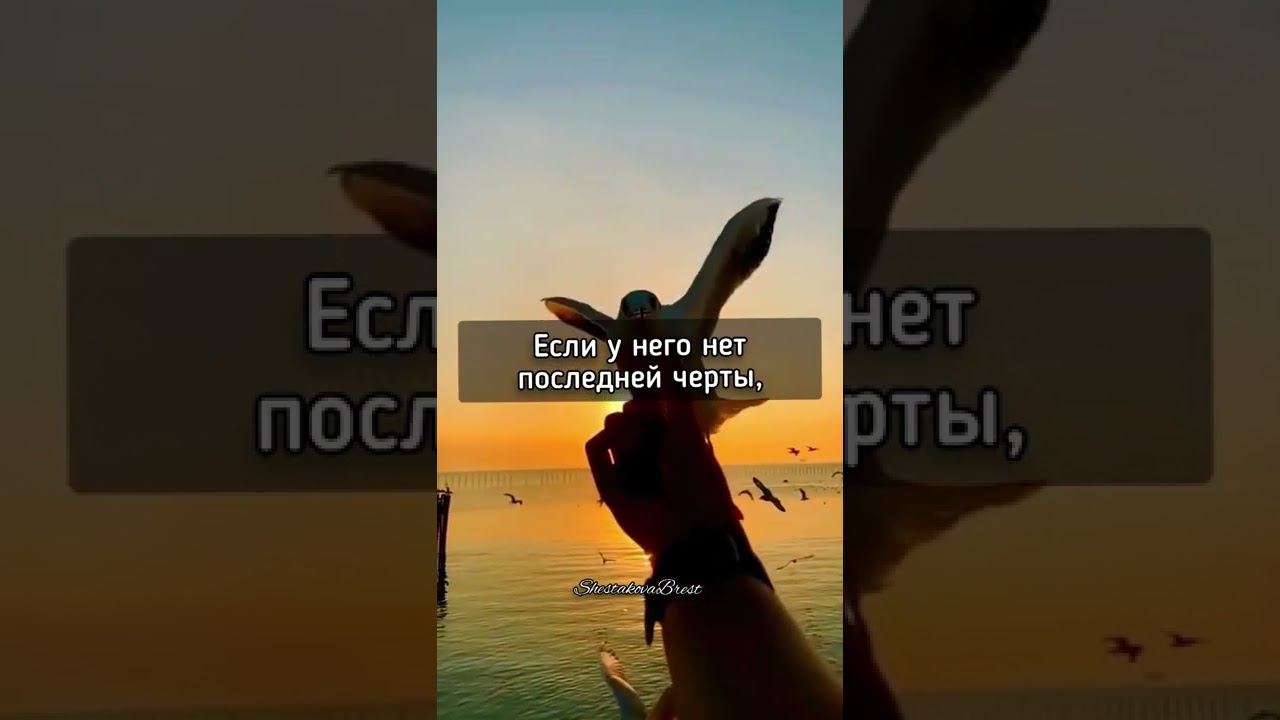 Ищите в человеке три черты интеллект энергию и честность картинки