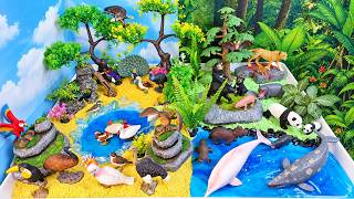 Aprendemos sobre animales: aves y mamíferos.¡Crea un diorama con animales mágicos que cobran vida! Aprendemos sobre animales: aves y mamíferos.¡Crea un diorama con animales mágicos que cobran vida!