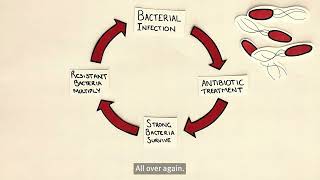 Dr. Emma Campbell: In Search of Bacterial Vaccines to Combat Antibiotic Resistance