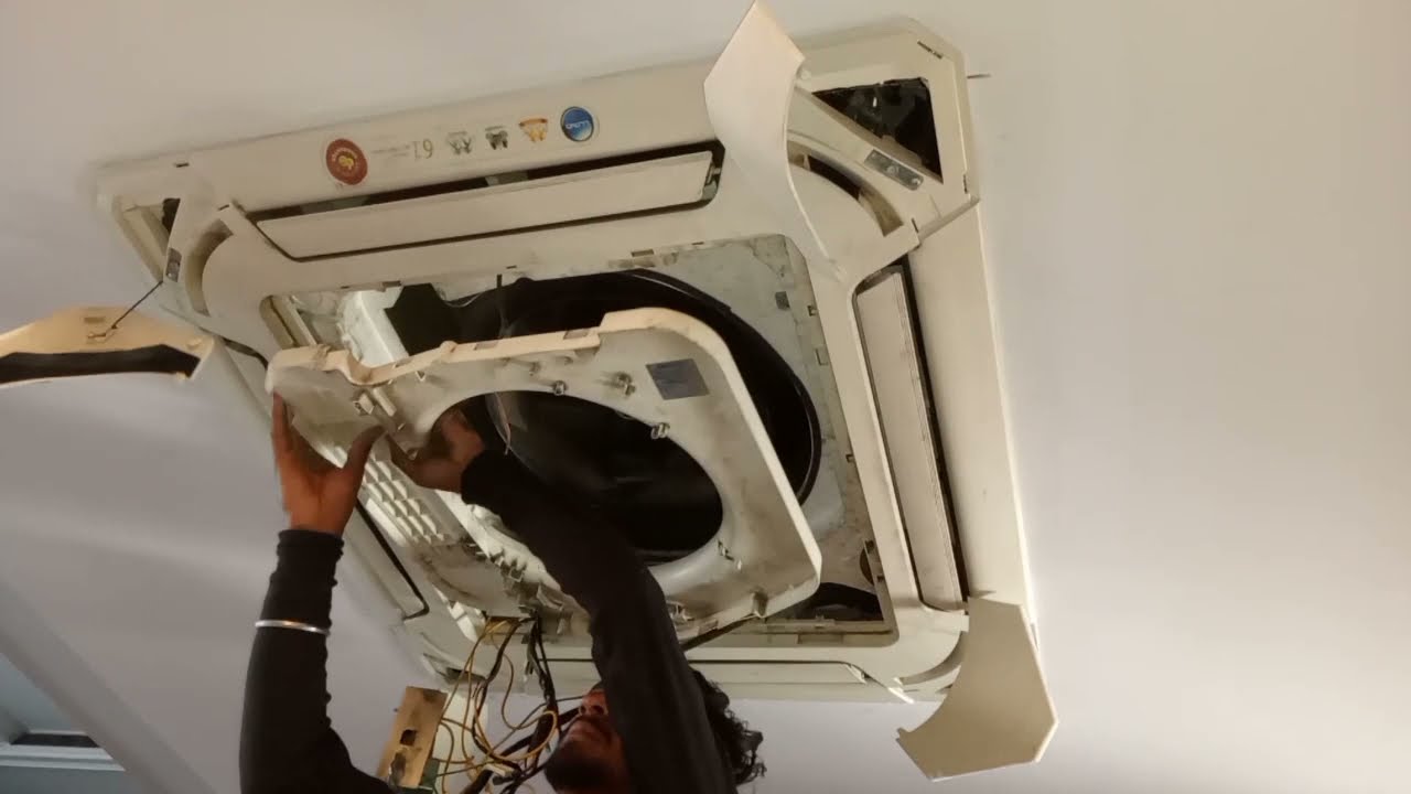 Professional Lloyd cassette  AC sevice