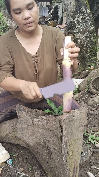 how to eat Fresh Sugar, ?