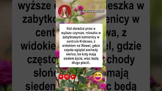 Kot doradca 🐈😹 #zarty #humor #komedia #smiech #zabawne #wesole #polska #shorts #youtube