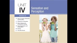 #APPsychology #APPsych Module 21: The Other Senses