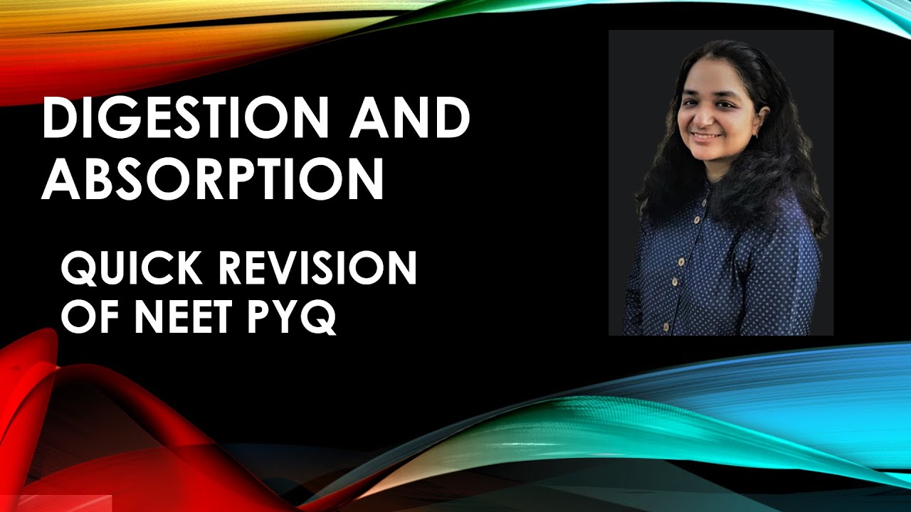 Quick Revision of NEET PYQ | Digestion and Absorption | NEET 2023 - YouTube