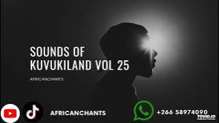 Sounds of KUVUKILAND vol 25 Africanchants