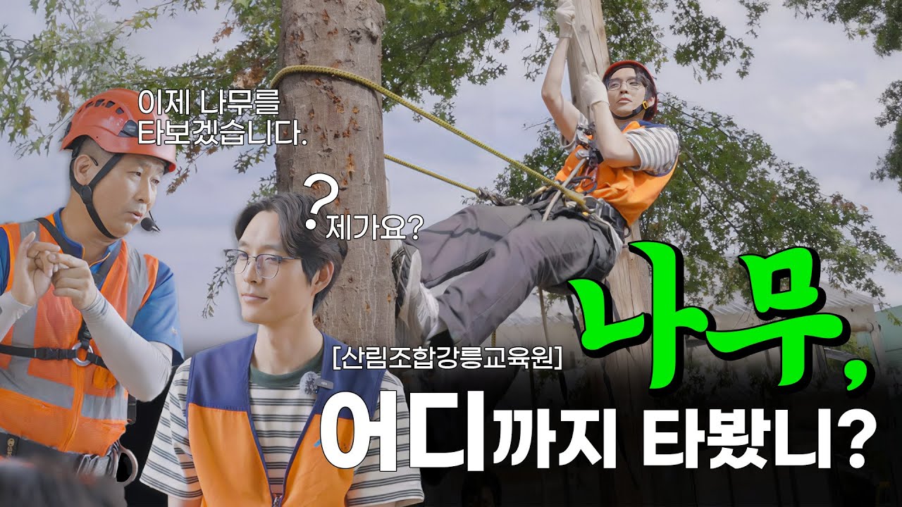 [산림동행]기계톱 분해하고 나무타고...직접 해봤습니다!