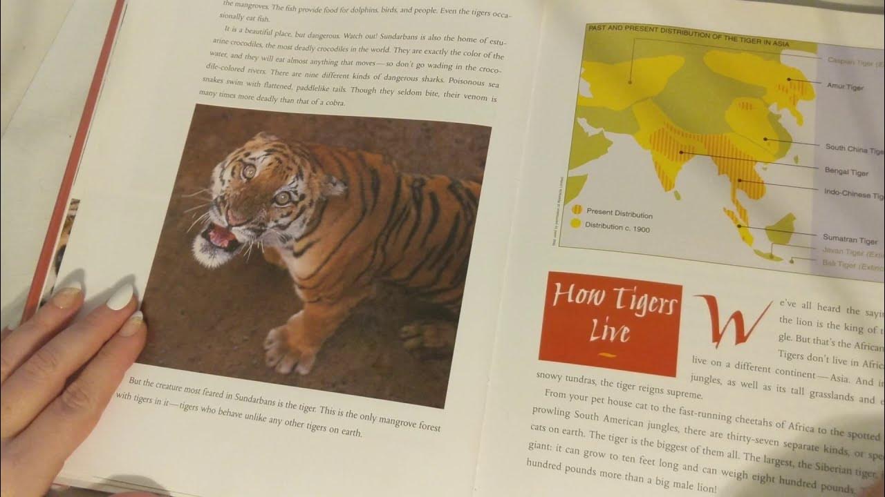 ASMR ~ Man-Eating Tigers of the Sundarbans ~ Soft Spoken Page Turning