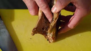 How To Prepare And Eat An Arbroath Smokie
