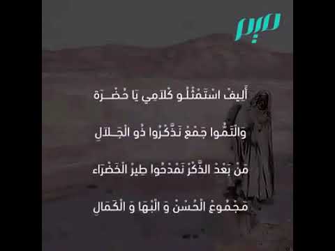 قصة سيدي لخضر بن الخلوف الادريسي مغراوي المستغانمي شاعر رسولﷺ والمجاهد ضد الإحتلال الاسباني