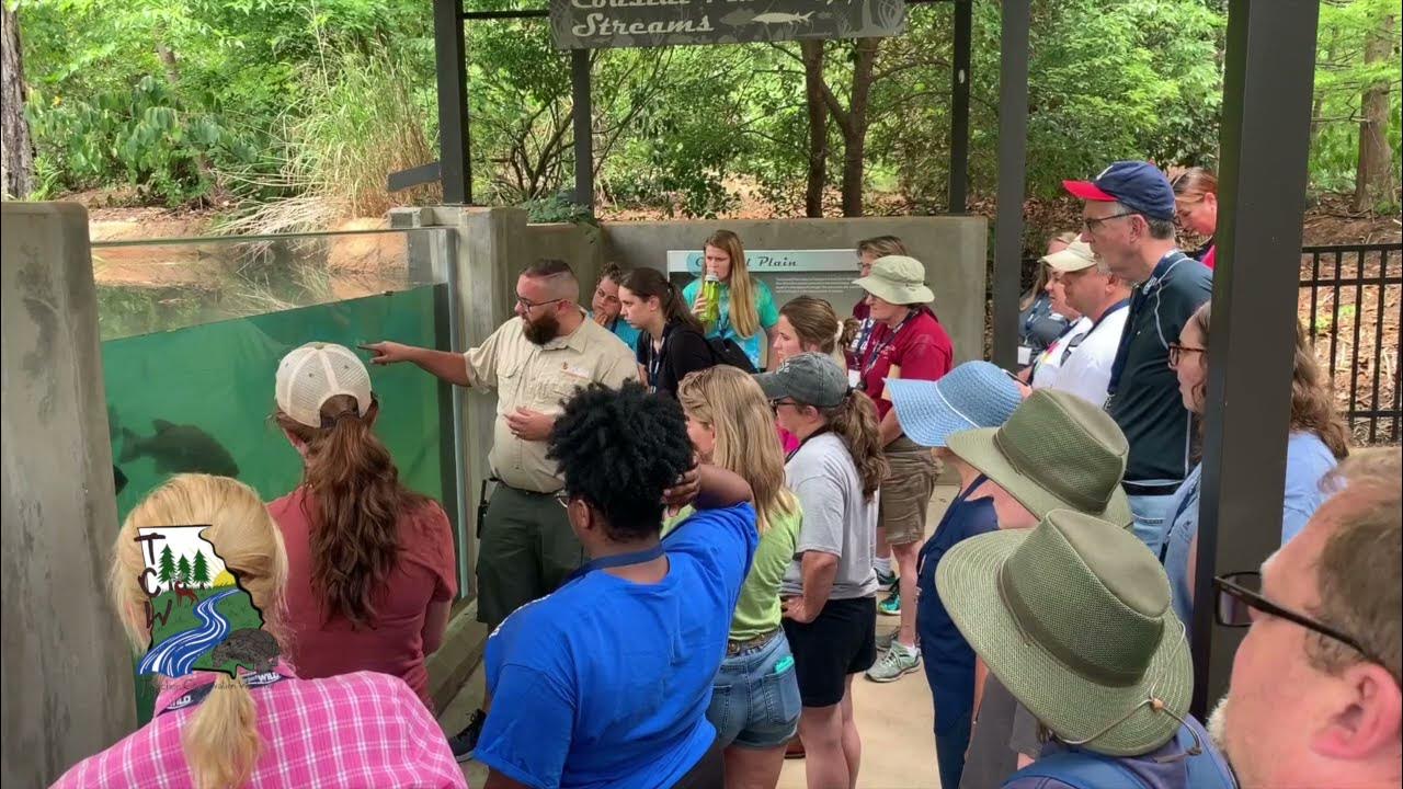 Teacher Conservation Overview YouTube