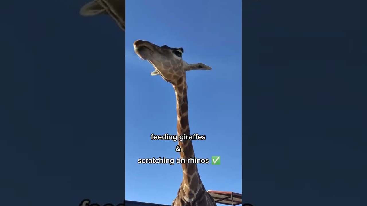 What's it like staying at Longneck Manor?