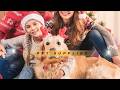 🎄 The Ultimate Christmas Plush Toy to Keep Your Dog Busy for Hours!