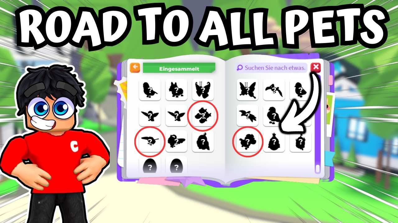 ROAD TO ALL PETS: DIE ERSTEN FOLGEN!