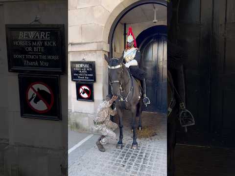 Kings Horse!” #Shorts