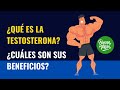 Para que sirve la testosterona (beneficios de la testosterona)