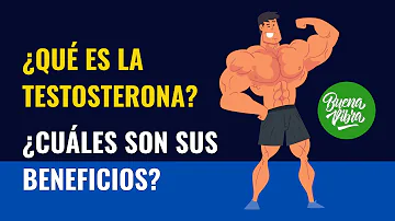 ¿Para qué sirve la testosterona?