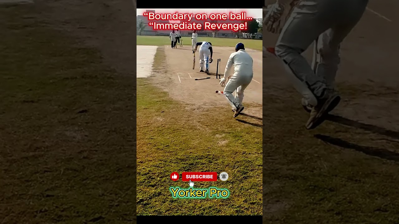 Boundary First… Then Clean Bowled! Fast Bowler’s Perfect Revenge | Cricket Short