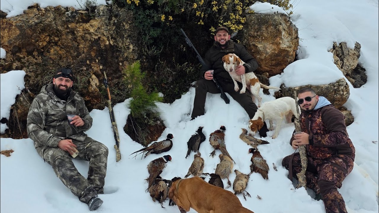 مشوار من العمر صيد الفيزانت في جبال لبنان مع كلاب ️🇱🇧Pheasant hunting ...