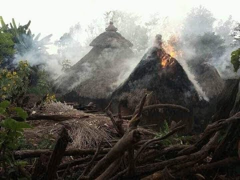 በሰገን ዙሪያ ወረዳ በኩል የኮንሶ ህዝብ ላይ በተከፈተው ጦርነት የዲራሼ ልዩ ወረዳ መዋቅር ሚና