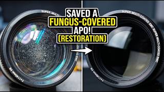 How I Saved a APO Telescope Lens Covered in Fungus (Restoration Guide)