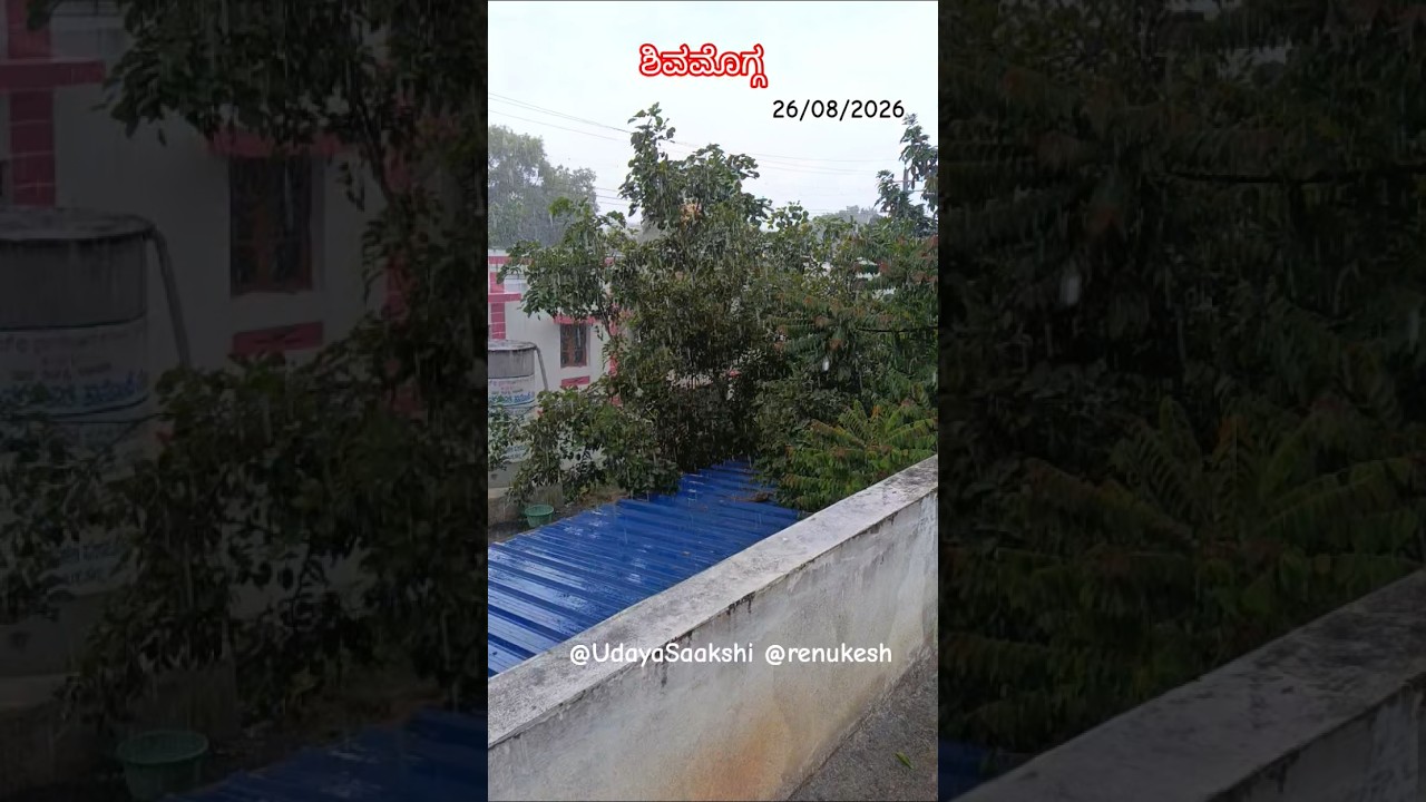 ಶಿವಮೊಗ್ಗ : 26/08/2026 ರ ಮಳೆ. #shimoga #shivamogga #rain #monsoon #shimoganews #newsupdate