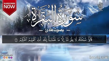 سورة البقره كامله بدون حقوق نشر