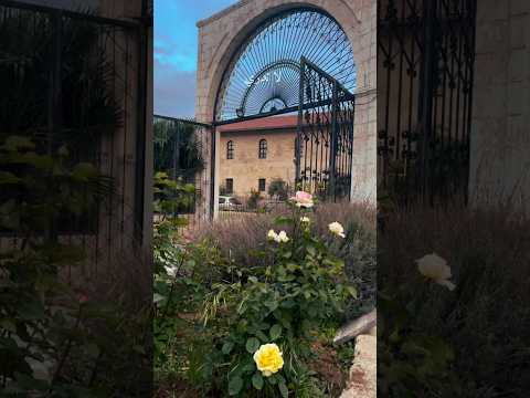 لاتدري كم انادي الهي ان تكوني في داري اناشيد اكسبلور لايك بدون موسيقى