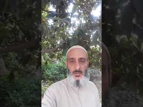 إن الذين يحبون أن تشيع الفاحشة في الذين آمنوا