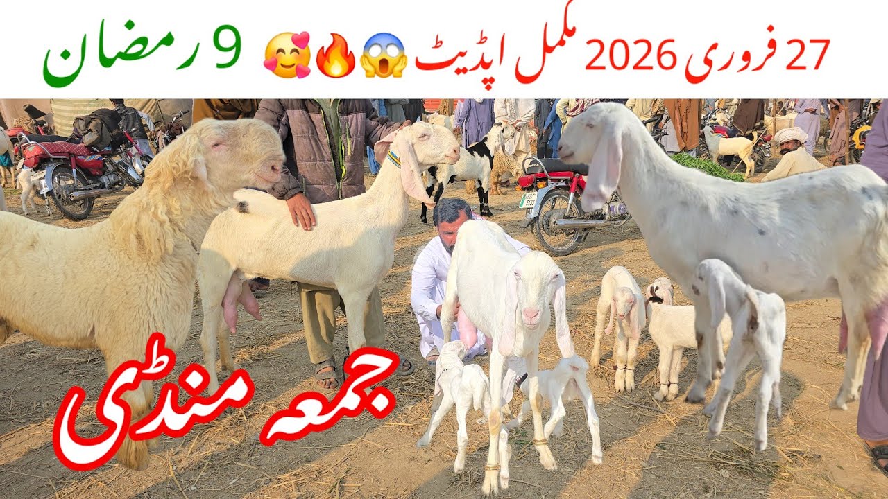 جمعہ منڈی 9 رمضان المبارک 27 فروری 2026 مکمل اپڈیٹ 🔥🥵🤦 سستی ترین منڈی Dera Ghazi Khan Mandi 
