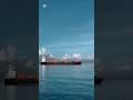 ❤️🫶 #shortvideo #seamanstory #containership #merchantship #seamanlife