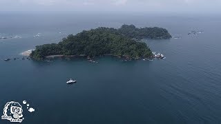 Scuba Diving Gorgona Colombia With Mv Ferox And Tauchertraum
