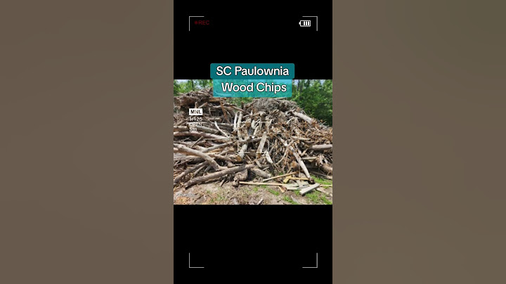 The Paulownia Top 2/3 of the Tree... Wood Chips #foxglove #paulownia #wood #chips #biomass #energy