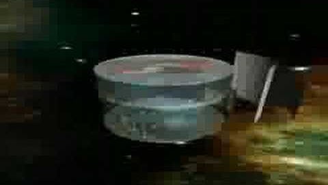 Compiz Fusion on Ubuntu 8.04 2