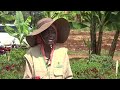 CHILLI FARMING A DRIVER FOR ECONOMIC GROWTH