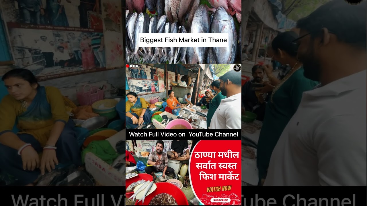 Biggest Fish Market in Thane | ठाण्या मधील सर्वात स्वस्त फिश मार्केट | Padwal Nagar, Wagle Estate