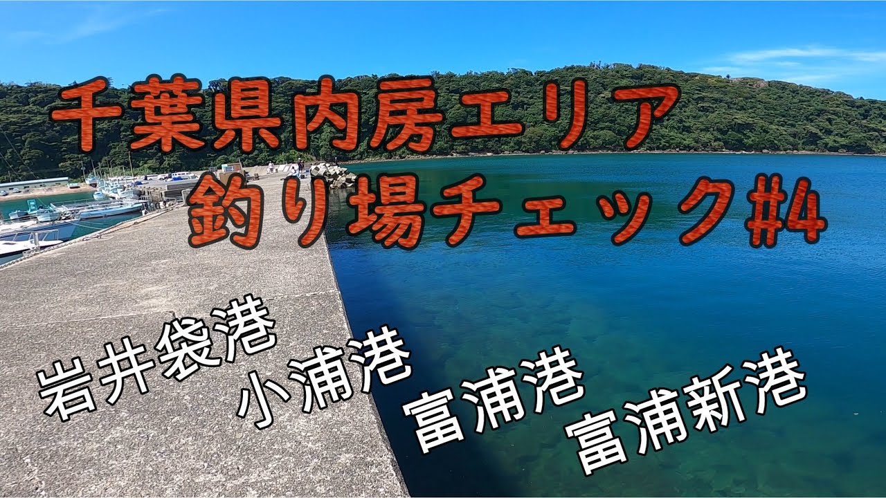 千葉房総！釣り場状況チェック！#4【岩井袋港・小浦港・富浦港・富浦新港】