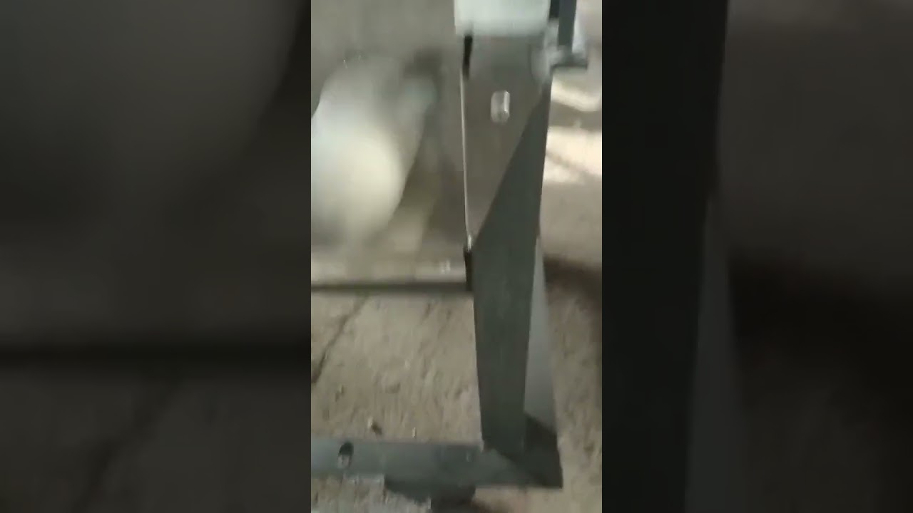 Efficient Commercial Round Steamed Bun Machine - Boost Your Productivity