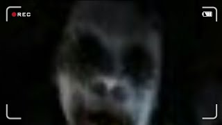 FIVE NIGHTS AT SOPHIE'S?! Sophie's Curse MCPE Horror Map screenshot 2