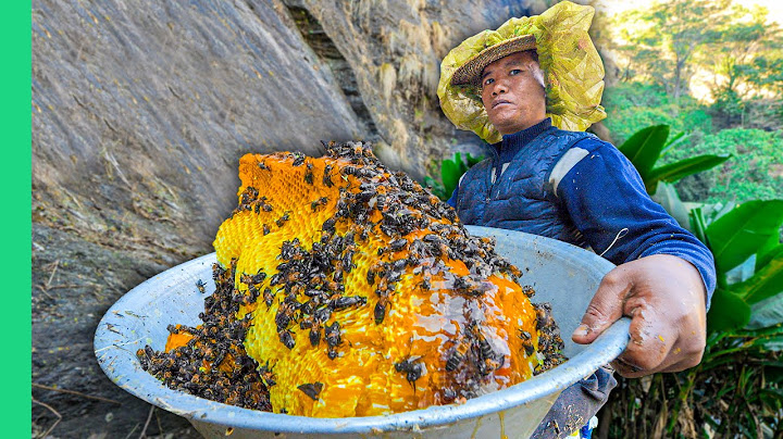 Surviving Nepal!! Street Food, Tribes & Mad Honey!!