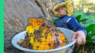 Surviving Nepal!! Street Food, Tribes & Mad Honey!!
