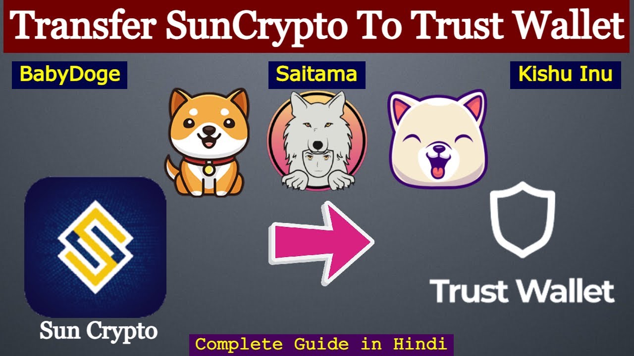How To Transfer BabyDoge, Saitama, Kishu Inu To Trust Wallet From SunCrypto  Exchange हिंदी में जाने