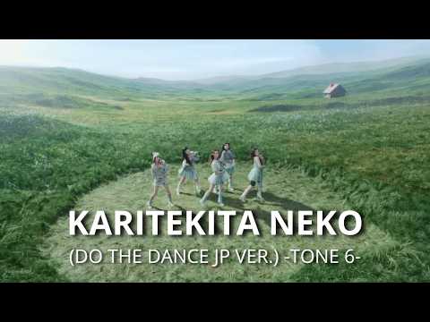 Karitekita Neko (Do the Dance) (Japanese Ver.) Tone 6 (From The Group "Illit")