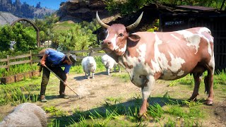 Le Rêve Pour Arthur Red Dead Redemption 2