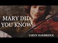 Mary Did You Know - Taryn Harbridge