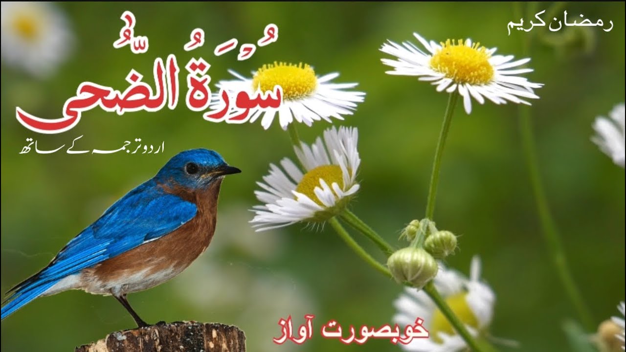 Surat Ad Duha The Morning Hours L Urdu Translation L Al duha The surat-ad-duha-the-morning-hours-l-urdu-translation-l-al-duha-the